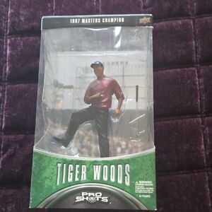 Tiger Woods Figures